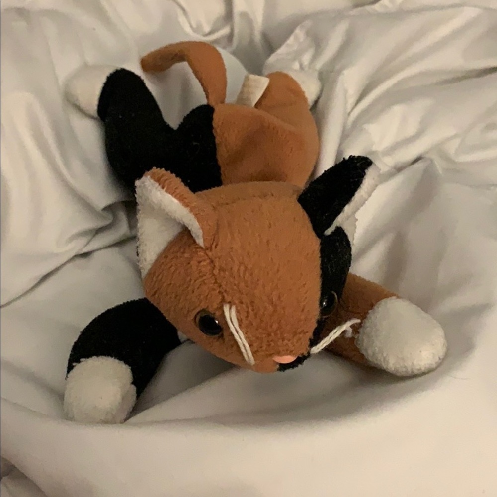 Chip beanie baby